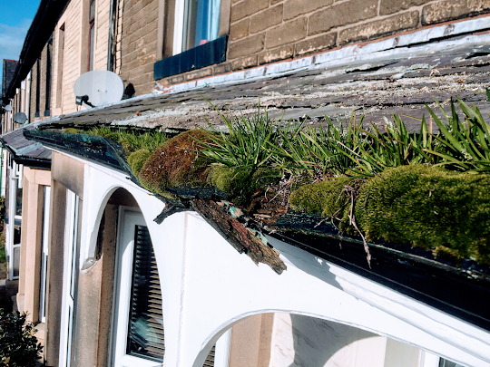 Emergency gutter repair Emergency gutter repair