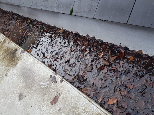 Blocked roof gutters cleaned and unblocked