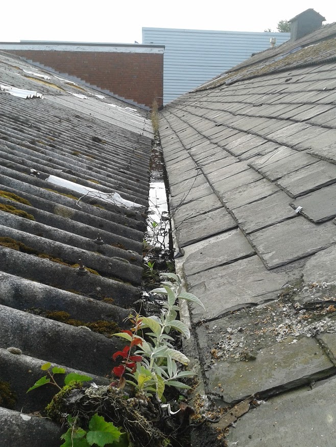 Commercial Gutter Cleaning