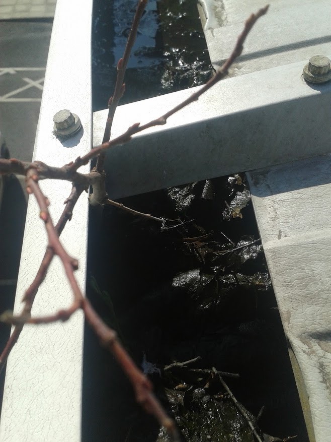 Commercial Gutter Cleaning