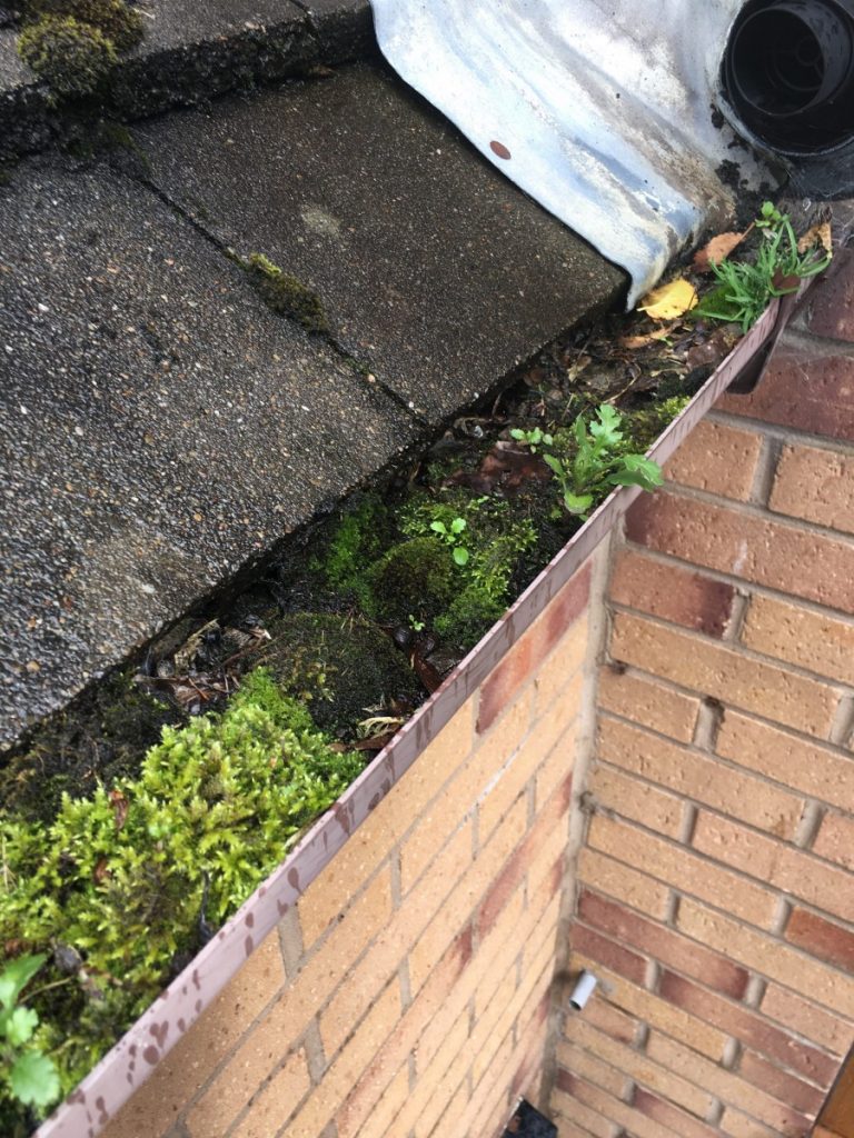 How often should I get my gutter cleaned out
